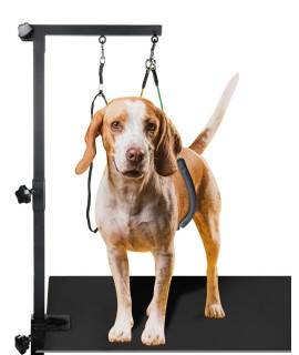 Dog Grooming Arm with Clamp, Adjustable Dog Grooming arm with Two Loop Noose for Small Medium Dogs at Home - Table not Included