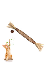GBSYU 1 Pack Silvervine Cat Toy, Silvervine Sticks Cat Toys for Indoor Cats, Cat & Kitten Chew Toys for Aggressive Chewers, Cat Dental Toy for Kitten Teeth Cleaning, Matatabi Silvervine for Cats