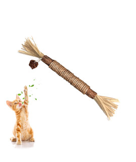 GBSYU 1 Pack Silvervine Cat Toy, Silvervine Sticks Cat Toys for Indoor Cats, Cat & Kitten Chew Toys for Aggressive Chewers, Cat Dental Toy for Kitten Teeth Cleaning, Matatabi Silvervine for Cats