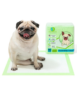 GREENER WALKER Dog Pee Pads, 22 x 22 Puppy Training Pad with Adhesive Sticky Tabs for Potty, 100% Leak-Proof Super Absorbent Quick-Dry - 50 Count