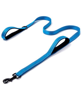 Heavy Duty Dog Leash - 2 Handles by Padded Traffic Handle for Extra Control, 6foot Long - Perfect for Medium to Large Dogs (Dark Blue, 6 ft)