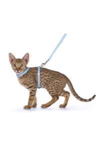 AIWA Kitten Harness + Lead 15-25 cm 10 mm Assorted