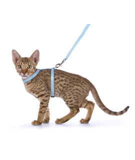 AIWA Kitten Harness + Lead 15-25 cm 10 mm Assorted