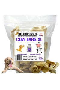 Dog Chits Cow Ears for Dogs Extra Large Thick Cut Whole Ears Dog and Puppy Chews USDA All Natural Long Lasting Chews 10 Count