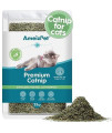 AmeizPet Catnip Grass for Cats Premium, Catnip Treats for Training & Play, Cat & Kitten Behaviour Dust 25g (0.06 Oz)