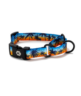 Wolfgang Premium Martingale Dog Collar for Small Medium Large Dogs, Made in USA, SunsetPalms Print, XL (1 Inch x 22-29 Inch)