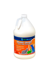 Orange Odor Eliminator Pet Odor Deodorizer for Strong Odor Enzyme Stain Cleaner for Cats, Dogs, and Pets Great for Carpets, Furniture, Dog Kennels, and More (128 Fl Oz)