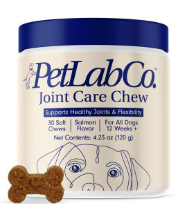 Petlab Co. Joint Care Chews - High Levels of Glucosamine for Dogs, Green Lipped Mussels, and Omega 3 - Dog Hip and Joint Supplement to Actively Support Mobility - Salmon