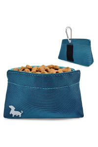 Swaggly Pocket Sized Dog Treat Pouch - Treat Pouches for Pet Training - Medium Dog Treat Pouch with Magnetic Closure - Dog Walking Accessories - Turquoise