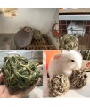 Rabbit Chew Ball Timothy Grass Grinding Small Animal Activity Play Chew Toys for Bunny Rabbits Hamster Guinea Pigs Gerbils