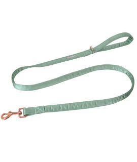 Lionet Paws Dog Leash - Silk Green Leash for Small Medium Large Dogs Matching Collar for Girl and Boy