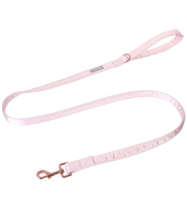 Lionet Paws Dog Leash - Silk Pink Leash for Small Medium Large Dogs Matching Collar for Girl and Boy