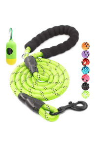 BAAPET 2/4/5/6 FT Dog Leash with Comfortable Padded Handle and Highly Reflective Threads for Small Medium and Large Dogs (6FT-1/2'', Green)