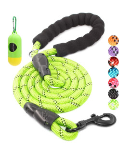 BAAPET 2/4/5/6 FT Dog Leash with Comfortable Padded Handle and Highly Reflective Threads for Small Medium and Large Dogs (6FT-1/2'', Green)