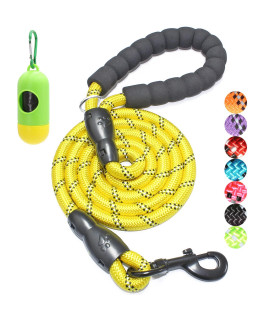 BAAPET 2/4/5/6 FT Dog Leash with Comfortable Padded Handle and Highly Reflective Threads for Small Medium and Large Dogs (6FT-1/2'', Yellow)