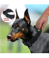 Yunleparks Metal Buckle Dog Collar for Medium Dogs,Heavy Duty Dog Collar with Control Handle,Reflective Nylon Collar for Dog Training (Medium, Black)