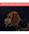 Yunleparks Metal Buckle Dog Collar for Medium Dogs,Heavy Duty Dog Collar with Control Handle,Reflective Nylon Collar for Dog Training (Medium, Black)