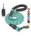 BAAPET 2/4/5/6 FT Dog Leash with Comfortable Padded Handle and Highly Reflective Threads for Small Medium and Large Dogs (6FT-1/2'', Turquoise)