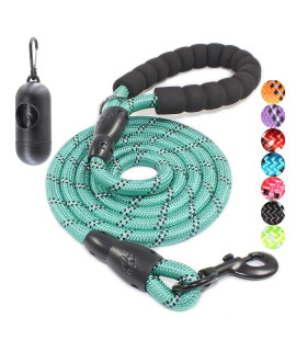 BAAPET 2/4/5/6 FT Dog Leash with Comfortable Padded Handle and Highly Reflective Threads for Small Medium and Large Dogs (6FT-1/2'', Turquoise)