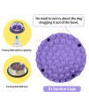 Slow Feeder Dog Bowls Insert-Bowite Silicone Large Slow Feeder with 51 Suction Cup for Medium Large Size Dog Bowls Over 5.5 Wide, Helpful to Slow Down Eating (Purple)