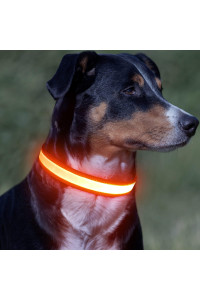Vizpet LED Dog Collar, Light Up Dog Collar Adjustable USB Rechargeable Super Bright Safety Light Glowing Collars for Dogs