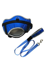 Reflective Adjustable Harness with Leash (set of 2) Asst 1 - Blue