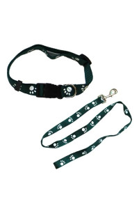 Paw Print Adjustable Collar with Leash (set of 2) Asst 2 - Green