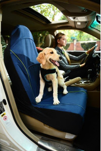 Iconic Pet - FurryGo Pet Single Car Seat Cover - Navy Blue