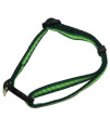 Iconic Pet - Rainbow Adjustable Collar - Green - Xsmall