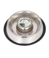Iconic Pet - Slow Feed Stainless Steel Pet Bowl for Dog or Cat - Small - 12 oz