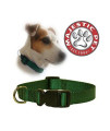 18in - 26in Adjustable Collar Green, 100-200 lbs Dog By Majestic Pet Products