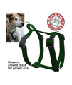 28in - 36in Harness Green, Xlrg 100-200 lbs Dog By Majestic Pet Products