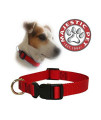 14in - 20in Adjustable Collar Red, 40 - 120 lbs Dog By Majestic Pet Products