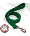 1in x 6ft Dbl Lead Green By Majestic Pet Products