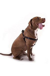 Buy 15in -25in Step In Harness Black, Lrg 40 - 120 lbs Dog By Majestic Pet Products
