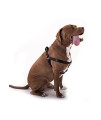 Buy 15in -25in Step In Harness Black, Lrg 40 - 120 lbs Dog By Majestic Pet Products