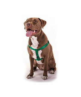 15in -25in Step In Harness Green, Lrg 40 - 120 lbs Dog By Majestic Pet Products