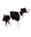 PoochPants Reusable Dog Diaper Medium Pink 15 to 32 lbs