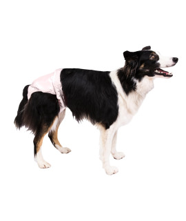 PoochPants Reusable Dog Diaper Medium Pink 15 to 32 lbs