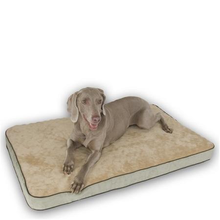 Memory Sleeper Dog Bed - Small/Sage