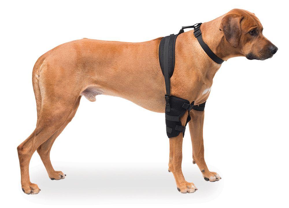 Large Elbow Pet Therapy Wrap With Therapy Gel