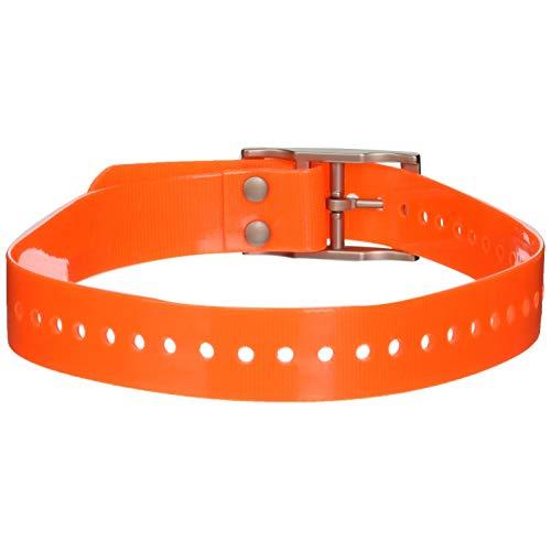 Replacement Collar Strap - Small