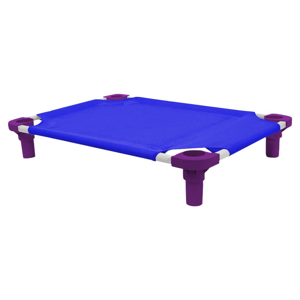 30x22 Pet Cot in Blue with Purple Legs, Unassembled