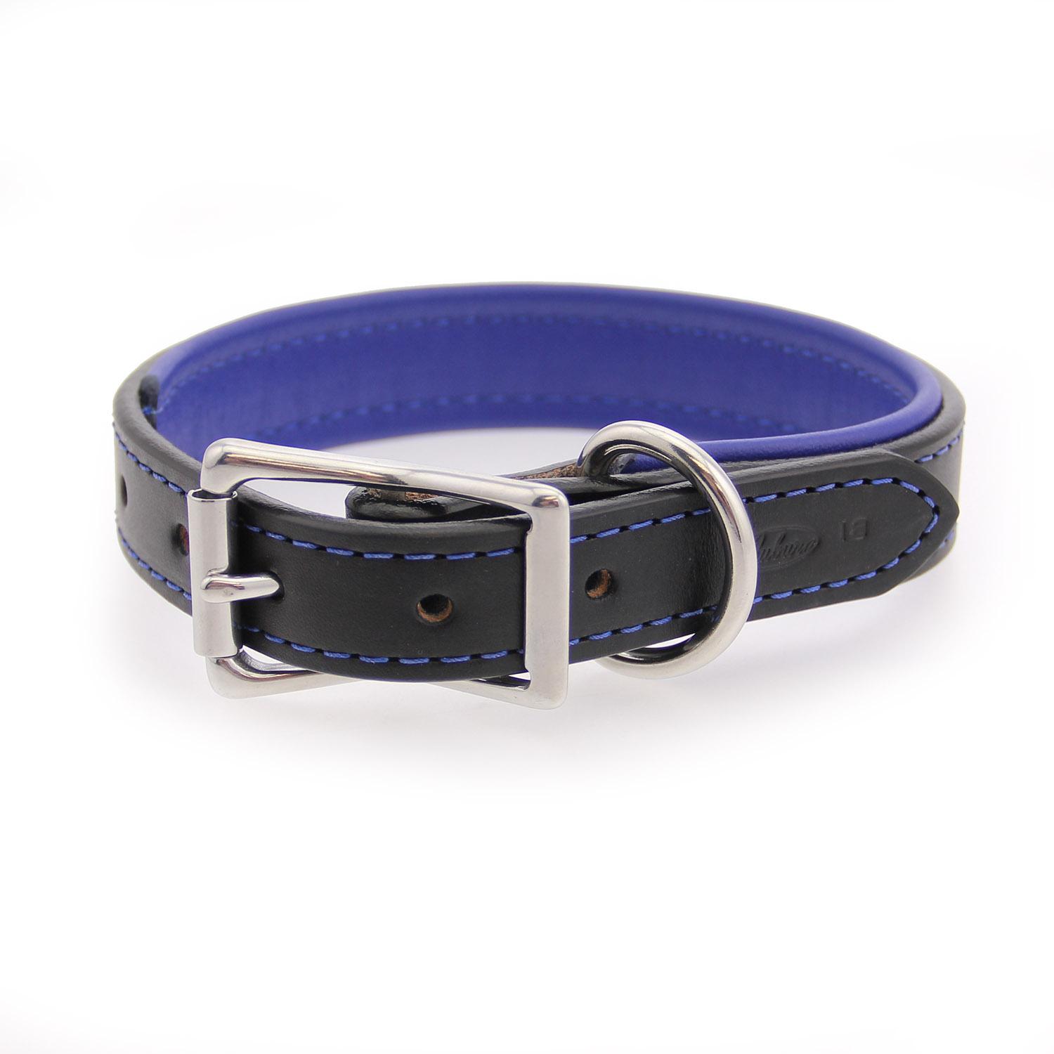 Two-Tone Padded Leather Dog Collar by Auburn Leather - Black and Blue