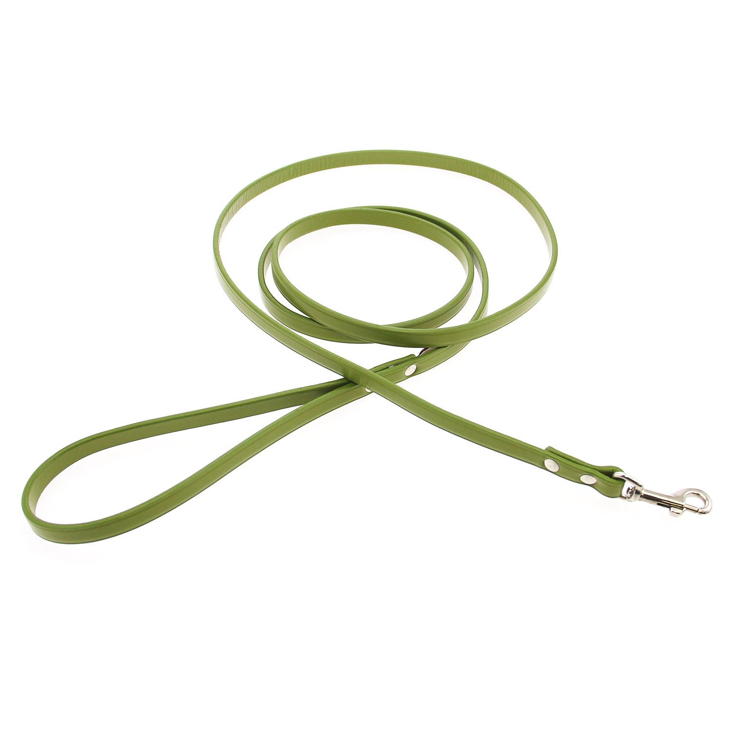 Town Leather Dog Leash by Auburn Leather - Green