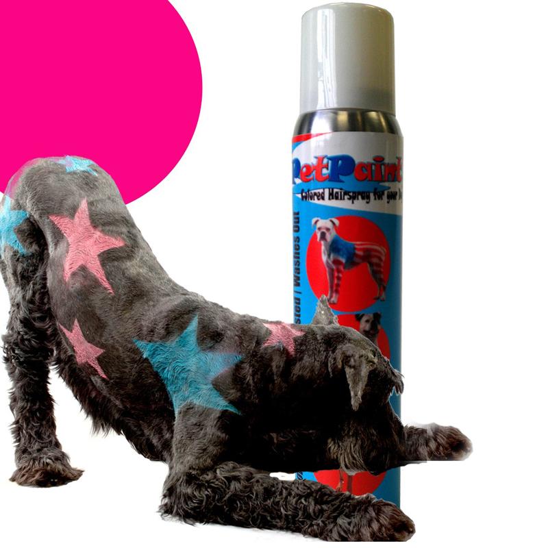 PetPaint Color Dog Hair Spray - Poodle Pink