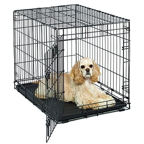 Medium Dog Crate | MidWest Life Stages 30