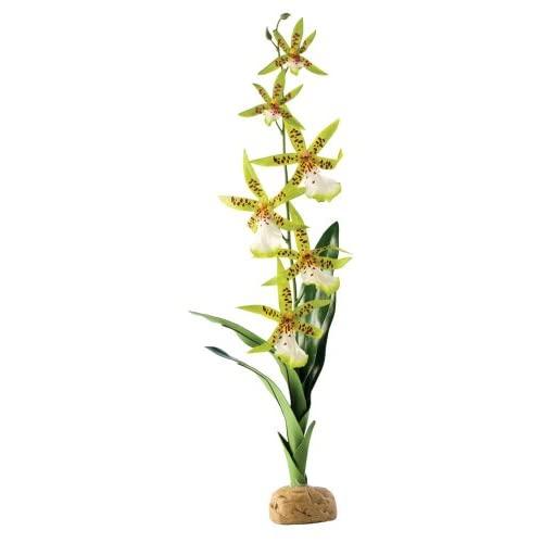 Exo Terra Spider Orchid Terrarium Plant