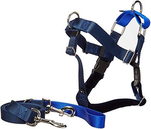2 Hounds Design Freedom No Pull Velvet Lined Dog Harness and Leash Training Package Royal Blue Large