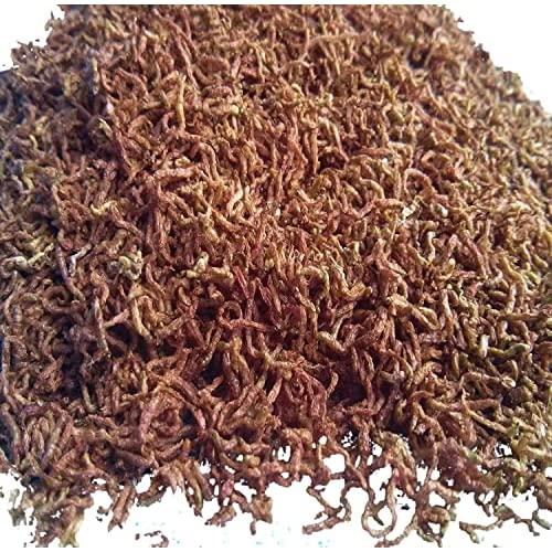 Bloodworms, Freeze Dried Fresh Grade A Floating Bloodworms for All Tropical Fish, Bettas, Discus, Cichlids, Community Fish, Turtles, Carnivores, Venus Flytraps. Shipped from Calif, USA... 1/4-lb
